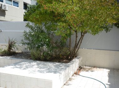 871B9255-216E-41B8-9402-1537D3D54DA0_1_105_c